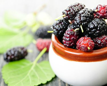 Mulberry-extract-potentially-beneficial-for-diabetic-patients-with-kidney-disease-RCT