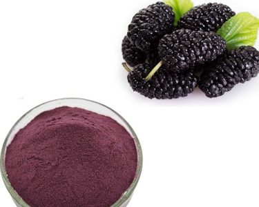 Skin-food-mulberry-powder-purple-diy-skincare-ayurvedic-skinfoodnigeria