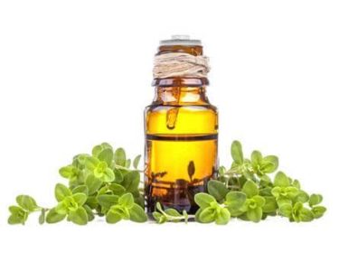 natural-pure-thyme-oil54546166014