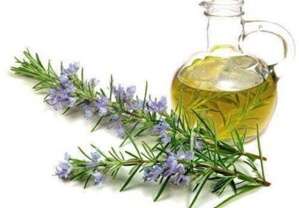 rosemary-oil-500x500